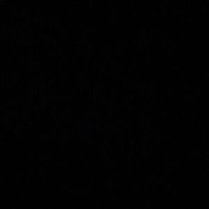 Meet your Posher, Genesis